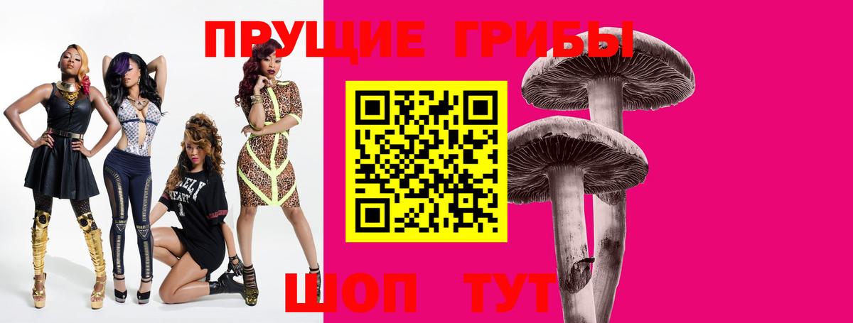 Армавир  где можно купить наркотик  Вход с VPN  Галлюциногенные грибы GOLDEN TEACHER 