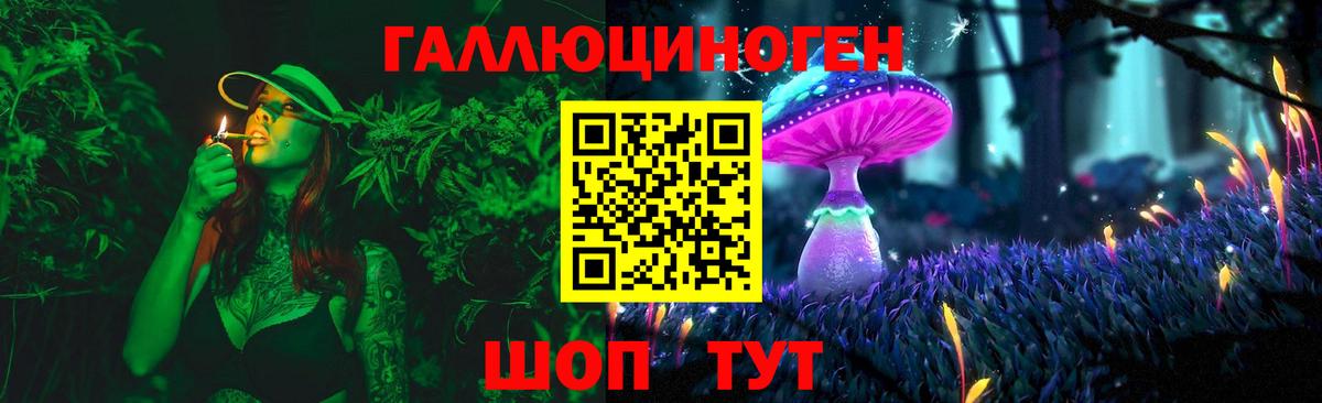 Галлюциногенные грибы MAGIC MUSHROOMS Армавир